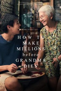 دانلود فیلم چگونه قبل از مرگ مادربزرگ ملیونر شویم How to Make Millions Before Grandma Dies 2024