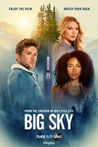 دانلود سریال آسمان بزرگ Big Sky دوبله فارسی